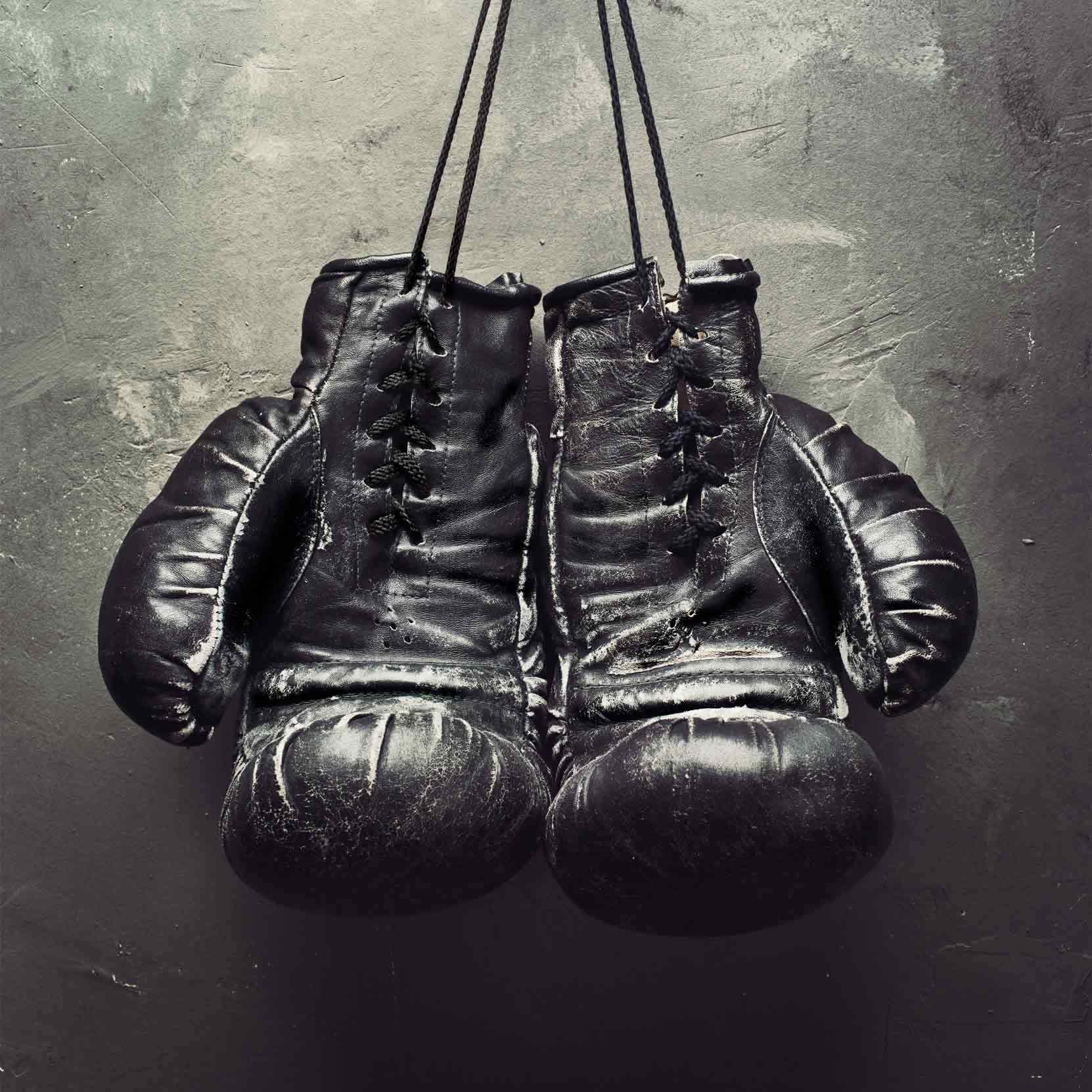 Gloves1