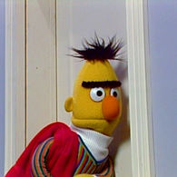 Bertdoor